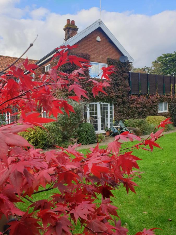 The Summer Bed & Breakfast Norwich