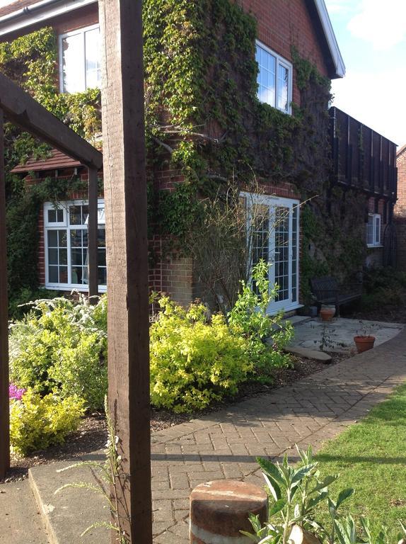 The Summer Bed & Breakfast